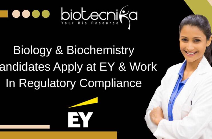 EY Regulatory Compliance Jobs