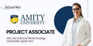Research Project Associate Job Role at Amity l MSc Life Science Graduates Apply