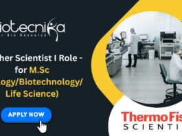 Fresher Scientist I Role