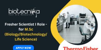 Fresher Scientist I Role