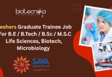 Freshers Graduate Trainee Job