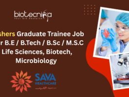 Freshers Graduate Trainee Job