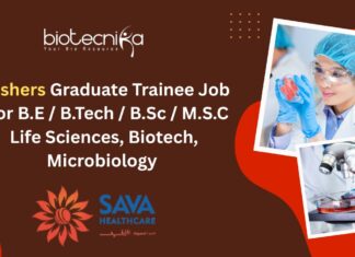 Freshers Graduate Trainee Job