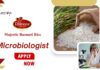 Freshers Jobs at Majestic Basmati Rice Pvt. Ltd. | Apply Now for Microbiologist Role
