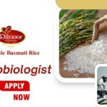 Freshers Jobs at Majestic Basmati Rice Pvt. Ltd. | Apply Now for Microbiologist Role