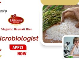 Freshers Jobs at Majestic Basmati Rice Pvt. Ltd. | Apply Now for Microbiologist Role