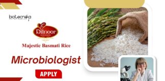 Freshers Jobs at Majestic Basmati Rice Pvt. Ltd. | Apply Now for Microbiologist Role