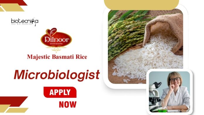 Freshers Jobs at Majestic Basmati Rice Pvt. Ltd. | Apply Now for Microbiologist Role