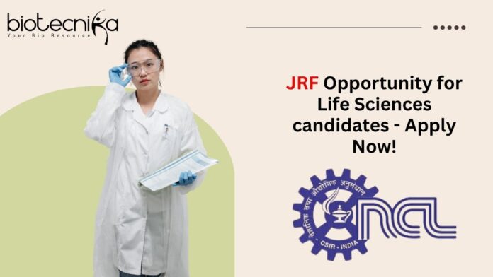 JRF at CSIR-NCL Pune - Apply Now!