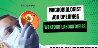 Microbiologist Jobs Vacancies Latest