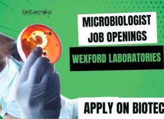Microbiologist Jobs Vacancies Latest