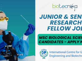 ICGEB Junior Senior Research Fellow Job MSc Biological SciencesChemistry Apply by 10 July 2025