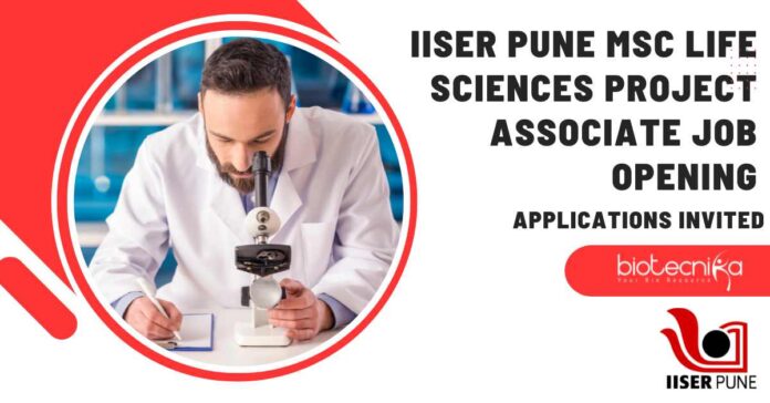 MSc Biotechnology Project Job Openings