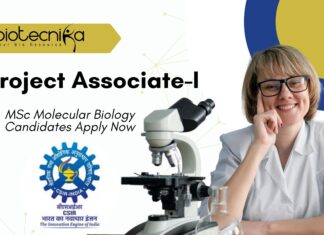 IMTECH Project Associate-I in Drug Resistance Study | MSc Molecular Biology Candidates Apply Now