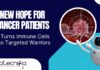 Immune Proteins For Cancer Treatment