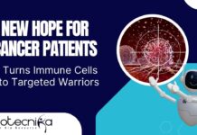 Immune Proteins For Cancer Treatment