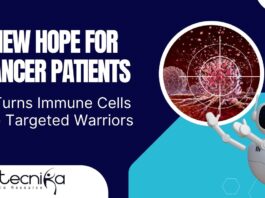 Immune Proteins For Cancer Treatment