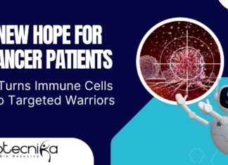 Immune Proteins For Cancer Treatment