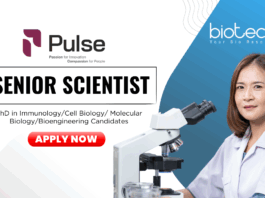 Immunology Jobs for PhD Candidates Apply Online for the Senior Scientist Role at Pulse Pharmaceuticals