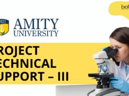 Immunology Research Jobs at Amity University | MSc Biotechnology Candidates Apply Now