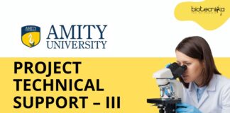 Immunology Research Jobs at Amity University | MSc Biotechnology Candidates Apply Now
