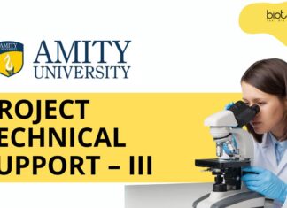 Immunology Research Jobs at Amity University | MSc Biotechnology Candidates Apply Now