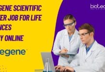 Indegene Scientific Writer Jobs For Life Sciences