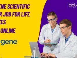 Indegene Scientific Writer Jobs For Life Sciences
