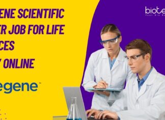 Indegene Scientific Writer Jobs For Life Sciences
