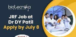 JRF Job at Dr DY Patil (1)