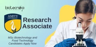 MSc Biotechnology and Food Technology Jobs l Apply Now for Research Associate  Role at Amity University
