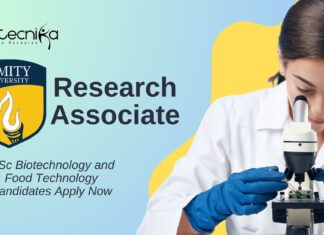 MSc Biotechnology and Food Technology Jobs l Apply Now for Research Associate  Role at Amity University
