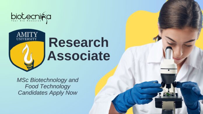 MSc Biotechnology and Food Technology Jobs l Apply Now for Research Associate  Role at Amity University