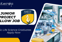 JRF Vacancy at Amity University Noida | MSc Life Science Graduates Apply Now