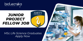 JRF Vacancy at Amity University Noida | MSc Life Science Graduates Apply Now