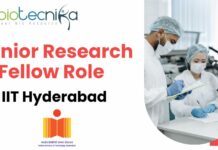 Junior Research Fellow Role