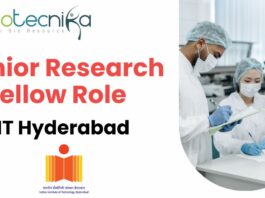 Junior Research Fellow Role