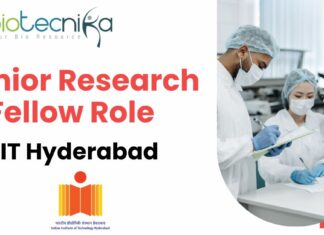 Junior Research Fellow Role
