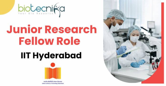 Junior Research Fellow Role