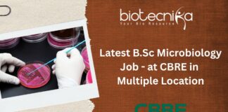 Latest B.Sc Microbiology Job