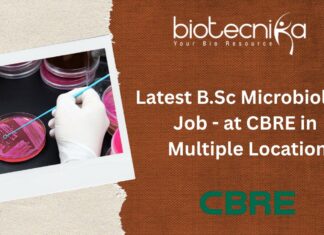 Latest B.Sc Microbiology Job