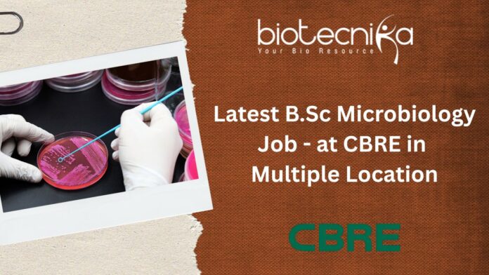 Latest B.Sc Microbiology Job