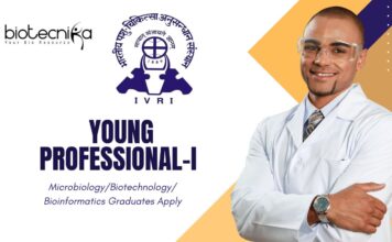 Latest Bioinformatics Jobs at IVRI | Apply Now for Young Professional-I Role