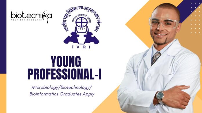 Latest Bioinformatics Jobs at IVRI | Apply Now for Young Professional-I Role