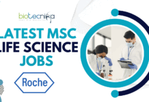 Latest MSc Life Science Jobs – QC Jobs At Roche