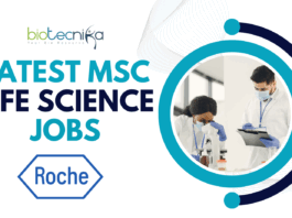 Latest MSc Life Science Jobs – QC Jobs At Roche