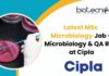 Latest MSc Microbiology Job
