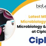 Latest MSc Microbiology Job