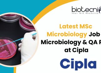 Latest MSc Microbiology Job