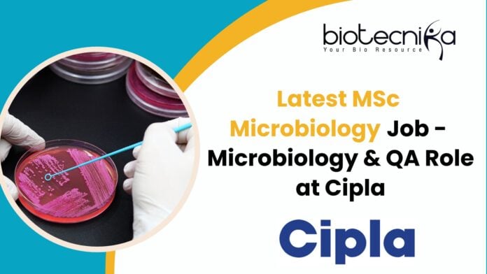Latest MSc Microbiology Job